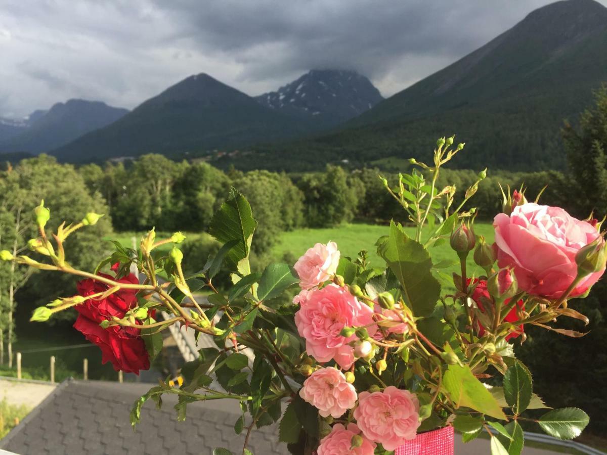 Apartment Dreamvalley Isfjorden Luaran gambar